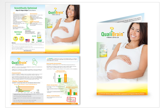 Brochure 1