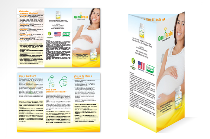 Brochure 2