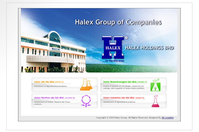 halex_group_website